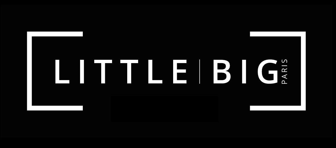 Little Big logo